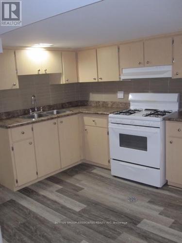 Lower L - 21 Delaware Avenue, Toronto, ON - Indoor Photo Showing Kitchen With Double Sink