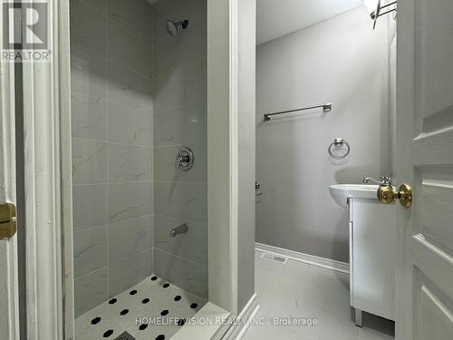 Lower - 36 Magnificent Way, Hamilton (Binbrook), ON - Indoor Photo Showing Bathroom