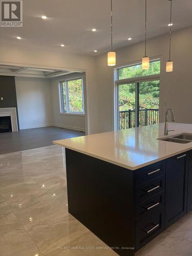 47 Bush Ridges Avenue, Richmond Hill (Jefferson), ON - Indoor Photo Showing Kitchen With Double Sink