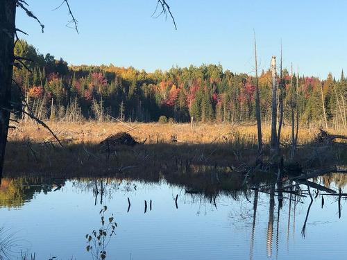 Vue sur l'eau - 340 Ch. De Chertsey, Sainte-Marguerite-Du-Lac-Masson, QC 