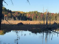 Vue sur l'eau - 