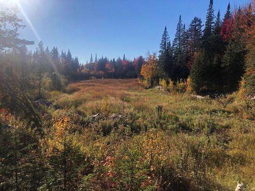 Terre Ã  bois - 340 Ch. De Chertsey, Sainte-Marguerite-Du-Lac-Masson, QC 