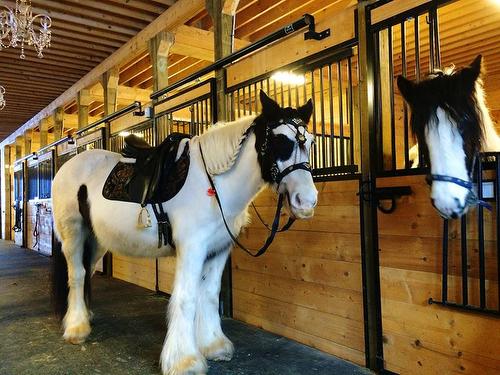 Barn - 340 Ch. De Chertsey, Sainte-Marguerite-Du-Lac-Masson, QC 