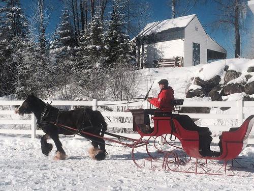 Autre - 340 Ch. De Chertsey, Sainte-Marguerite-Du-Lac-Masson, QC 