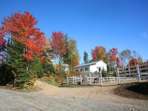 Stable - 340Z Ch. De Chertsey, Sainte-Marguerite-Du-Lac-Masson, QC - Outdoor