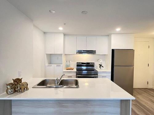 Kitchen - 524-5250 Boul. Henri-Bourassa O., Montréal (Saint-Laurent), QC - Indoor Photo Showing Kitchen With Double Sink