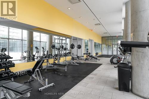 2014 - 103 The Queensway Avenue, Toronto, ON - Indoor Photo Showing Gym Room