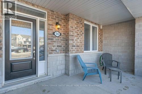 56 Daylily Lane, Kitchener, ON - Outdoor With Deck Patio Veranda With Exterior