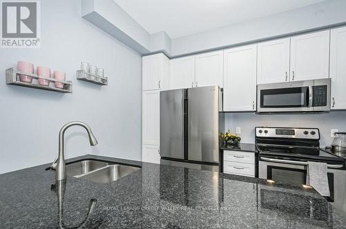 56 Daylily Lane, Kitchener, ON - Indoor Photo Showing Kitchen With Stainless Steel Kitchen With Double Sink With Upgraded Kitchen