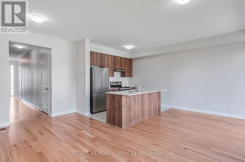 163 Freedom Crescent, Hamilton, ON - Indoor Photo Showing Kitchen