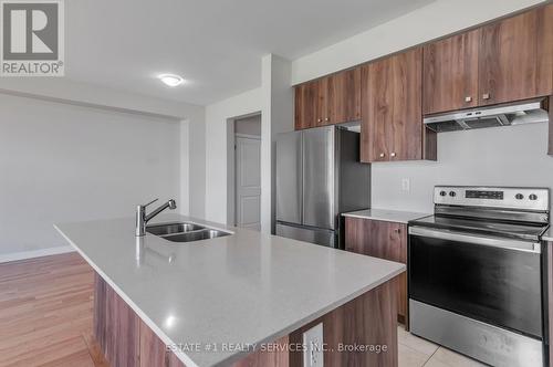 163 Freedom Crescent, Hamilton, ON - Indoor Photo Showing Kitchen With Double Sink