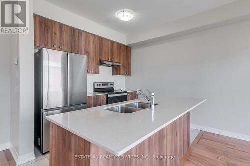 163 Freedom Crescent, Hamilton, ON - Indoor Photo Showing Kitchen With Double Sink