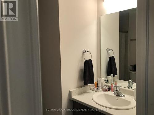 16 Birot Lane, Hamilton, ON - Indoor Photo Showing Bathroom