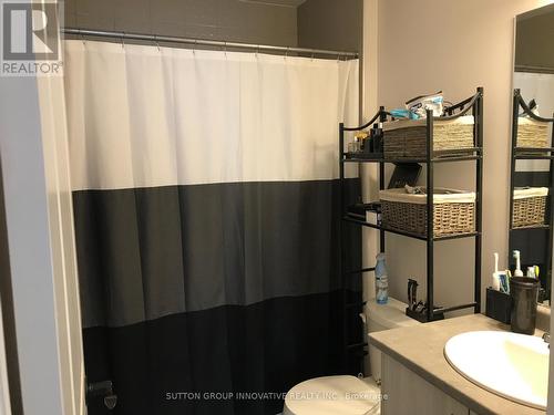 16 Birot Lane, Hamilton, ON - Indoor Photo Showing Bathroom