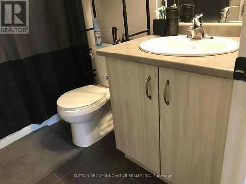 16 Birot Lane, Hamilton, ON - Indoor Photo Showing Bathroom