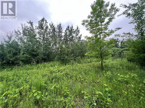 Lot Lakeside Drive, South Glengarry, ON 