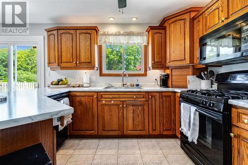 22 Bennie Avenue, Leamington, ON - Indoor Photo Showing Kitchen With Double Sink