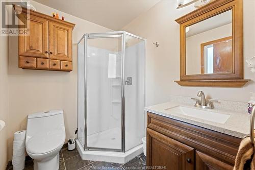 237 East Pike Creek, Lakeshore, ON - Indoor Photo Showing Bathroom