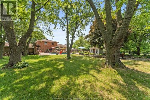 237 East Pike Creek, Lakeshore, ON - Outdoor