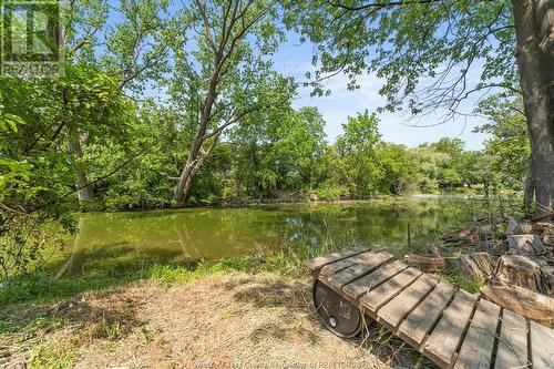 237 East Pike Creek, Lakeshore, ON - Outdoor