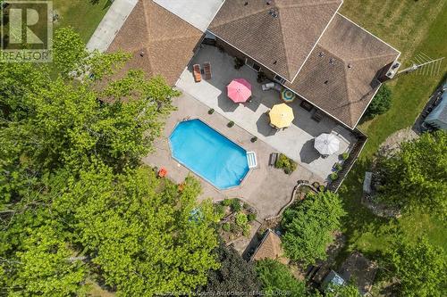 237 East Pike Creek, Lakeshore, ON - Outdoor With In Ground Pool With View