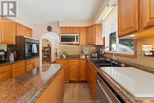 237 East Pike Creek, Lakeshore, ON - Indoor Photo Showing Kitchen With Double Sink