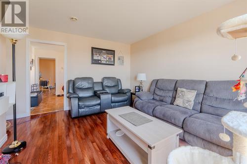 35 Trails End Drive, Paradise, NL - Indoor Photo Showing Living Room