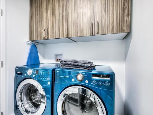 Salle de bains - 411 Av. Duluth E., Montréal (Le Plateau-Mont-Royal), QC - Indoor Photo Showing Laundry Room