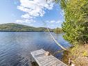 Aerial photo - 399 Ch. Du Lac-Chevreuil, Amherst, QC  - Outdoor With Body Of Water With View 