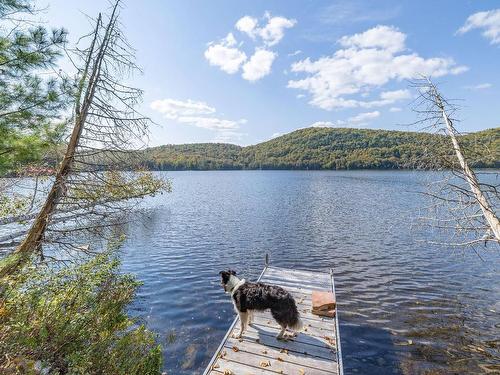 Aerial photo - 399 Ch. Du Lac-Chevreuil, Amherst, QC - Outdoor With Body Of Water With View