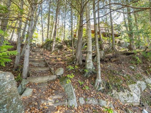 Aerial photo - 399 Ch. Du Lac-Chevreuil, Amherst, QC - Outdoor