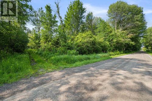 Lt 15 Con 1 Road, Kawartha Lakes, ON 