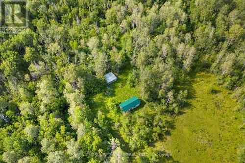 Lt 15 Con 1 Road, Kawartha Lakes, ON 