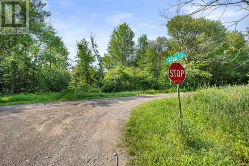 Lt 15 Con 1 Road, Kawartha Lakes, ON 