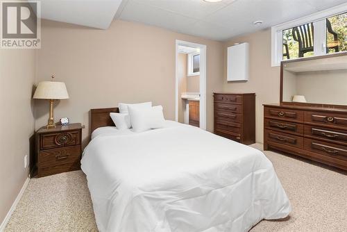 Basement bedroom - 209, 27475 Township Road 380, Rural Red Deer County, AB 