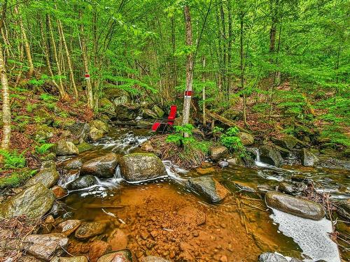 Bord de l'eau - 71 Rue Alarie, Val-David, QC - Outdoor