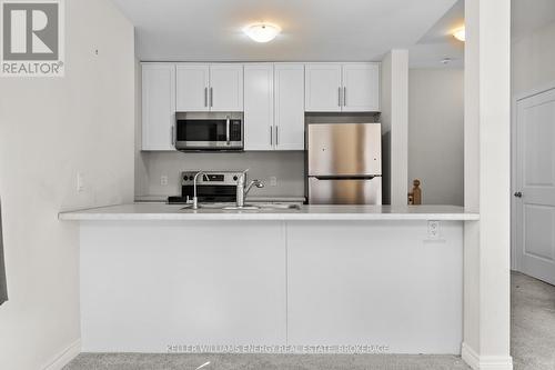 111 - 77 Diana Avenue, Brantford, ON - Indoor Photo Showing Kitchen With Double Sink