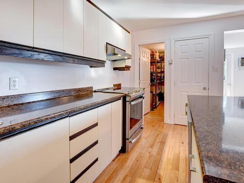 Kitchen - 191 Rue Jean, Notre-Dame-De-Lourdes, QC - Indoor Photo Showing Kitchen