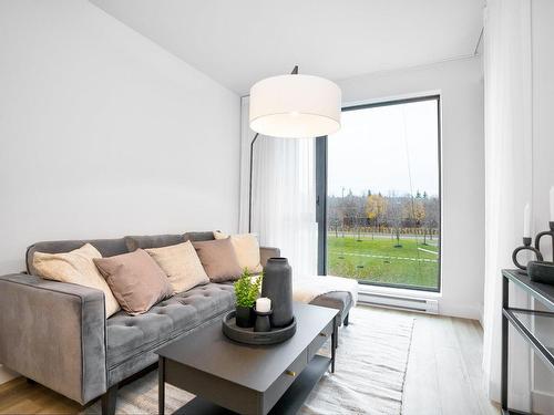 Salon - 401-1020 Rue Levert, Montréal (Verdun/Île-Des-Soeurs), QC - Indoor Photo Showing Living Room