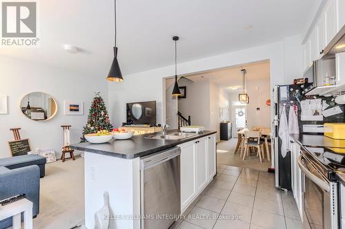 563 Rye Grass Way, Ottawa, ON - Indoor Photo Showing Kitchen With Double Sink