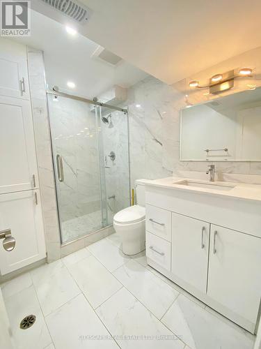 Bsmt - 133 Bonham Boulevard, Mississauga, ON - Indoor Photo Showing Bathroom