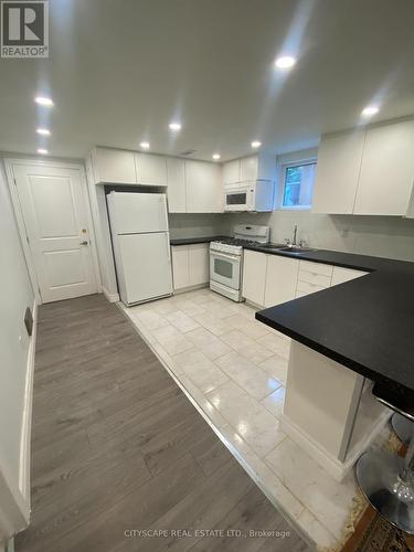 Bsmt A - 135 Bonham Bsmt Boulevard, Mississauga, ON - Indoor Photo Showing Kitchen With Double Sink