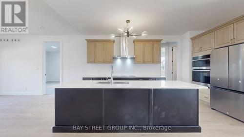 16 - 242 Mount Pleasant Street, Brantford, ON - Indoor Photo Showing Kitchen