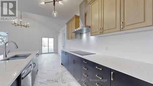 16 - 242 Mount Pleasant Street, Brantford, ON - Indoor Photo Showing Kitchen With Double Sink With Upgraded Kitchen