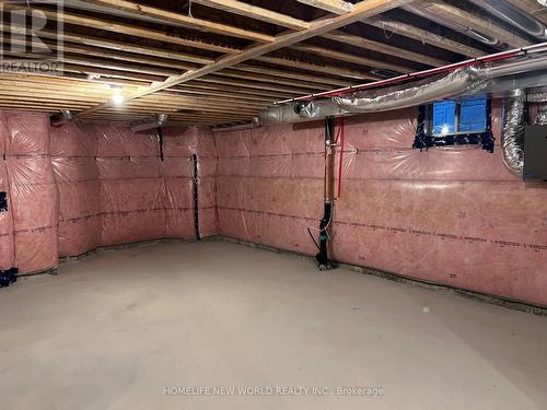 41 Bostock Drive, Georgina, ON - Indoor Photo Showing Basement