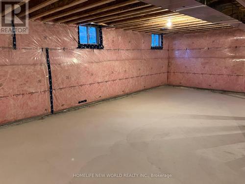 41 Bostock Drive, Georgina, ON - Indoor Photo Showing Basement