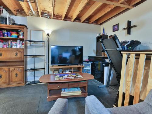 Family room - 13 Rue Derome, Saint-Édouard, QC - Indoor Photo Showing Basement