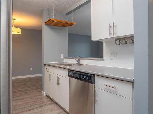 311 494 Beliveau Road, Winnipeg, MB - Indoor Photo Showing Kitchen