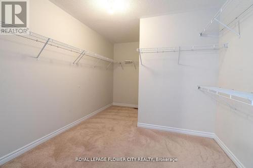 Bsmnt - 24 Herrick Drive, Brampton, ON - Indoor With Storage