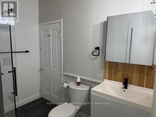 1 - 3 Denison Avenue, Brampton, ON - Indoor Photo Showing Bathroom